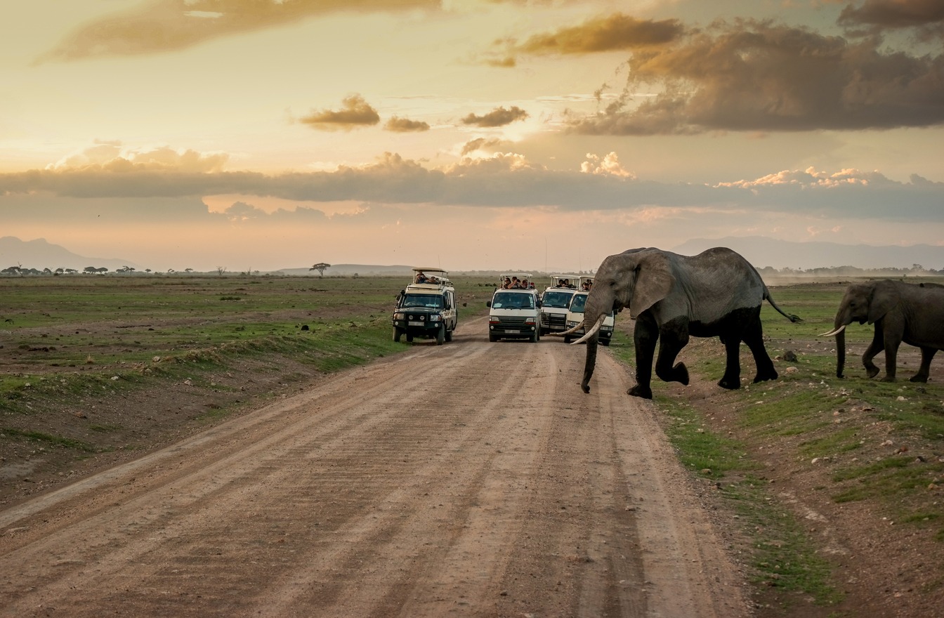4 Days of Nature's Best Wilderness Safari