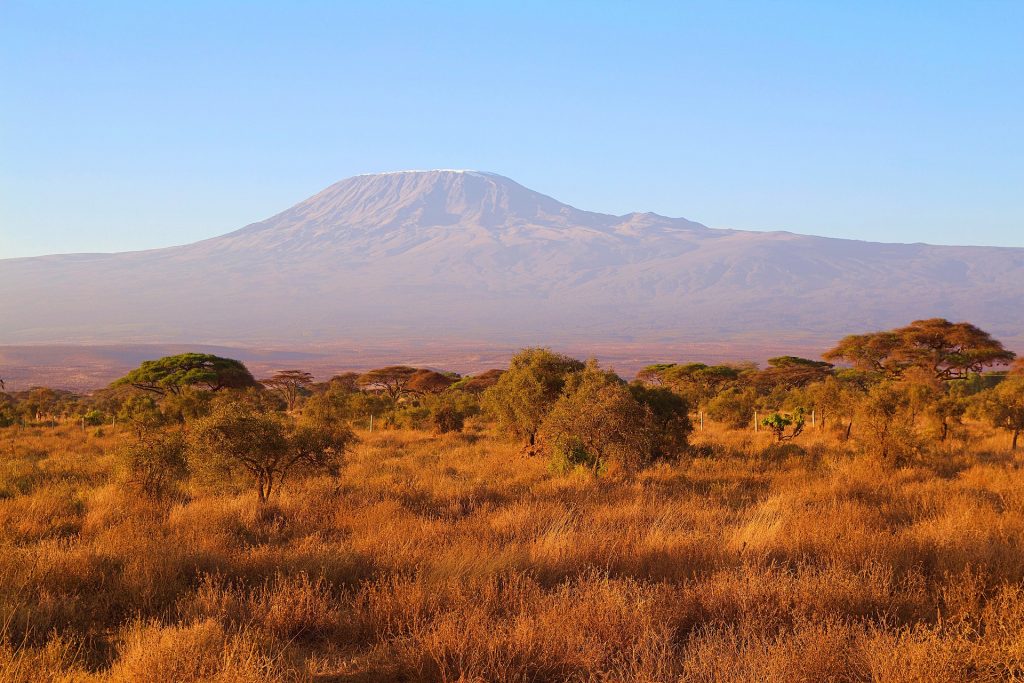 6 Days Trekking Umbwe Route